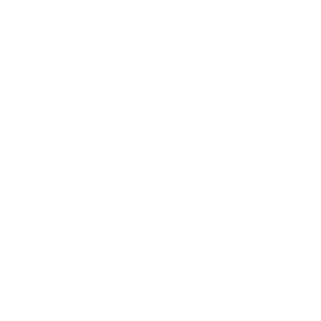 ETIHAD AIRWAYS copy