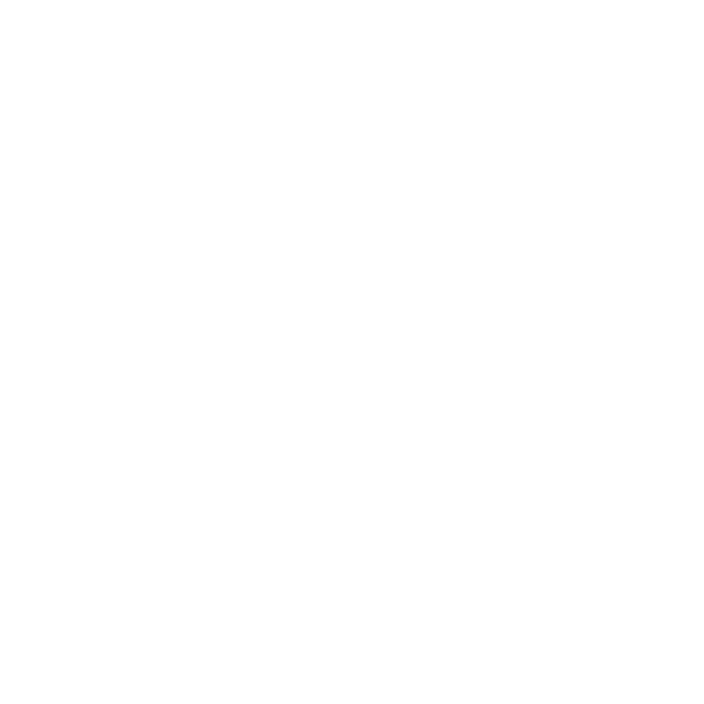 SINGAPORE AIRLINES copy