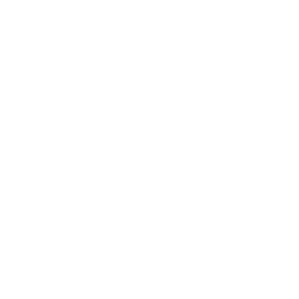 THE BRITISH INTERNATIONAL SCHOOL